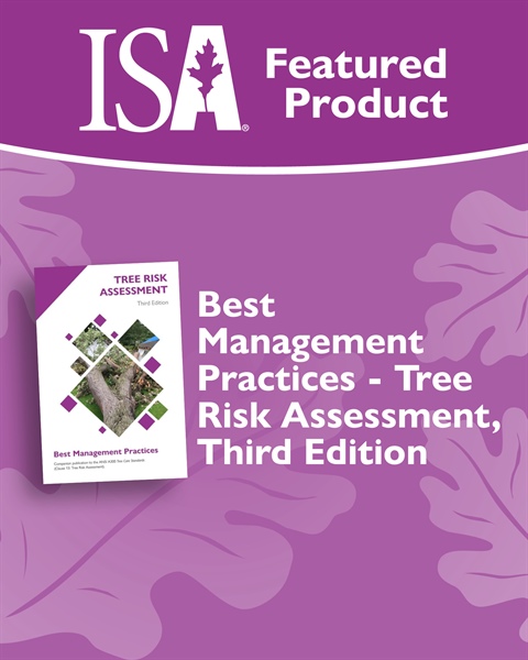 Learn More About Assessing Tree Risk