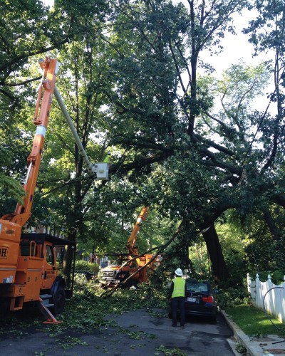 OSHA Resources for Hurricane Clean Up