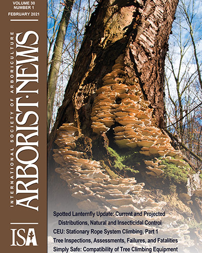 February 2021 Issue of Arborist News Now Online