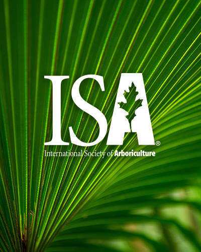 ISA Seeks Qualified Nominees for Multiple Positions